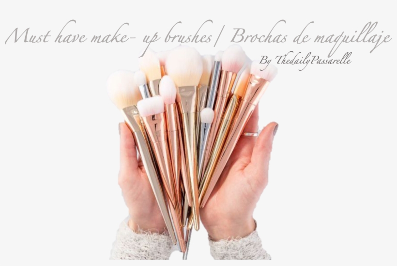 Lifestyle Beginners Must Have Make- Up Brushes/ Brochas - Makeup Brush, transparent png download