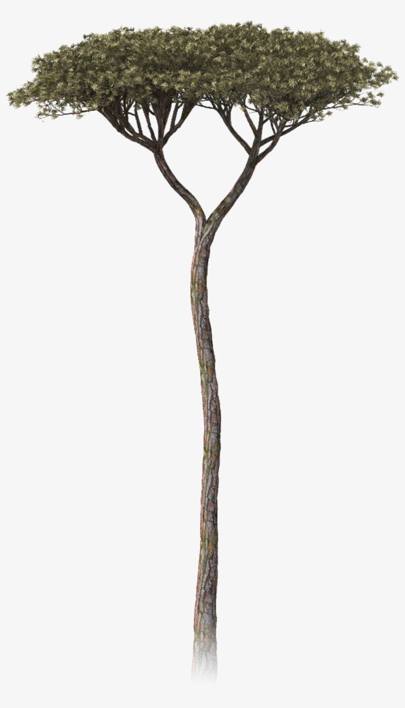 We Are An Immersive Story Studio That Creates Ar, Vr - Collage, transparent png download