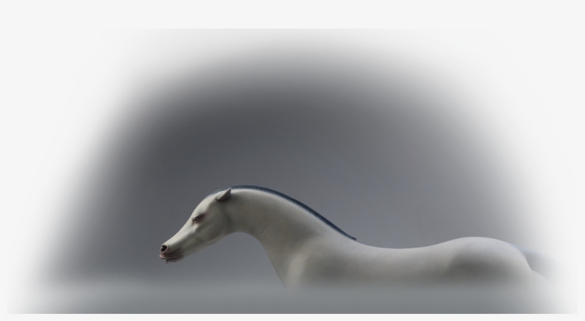 Wang Ruilin - Mustang Horse, transparent png download