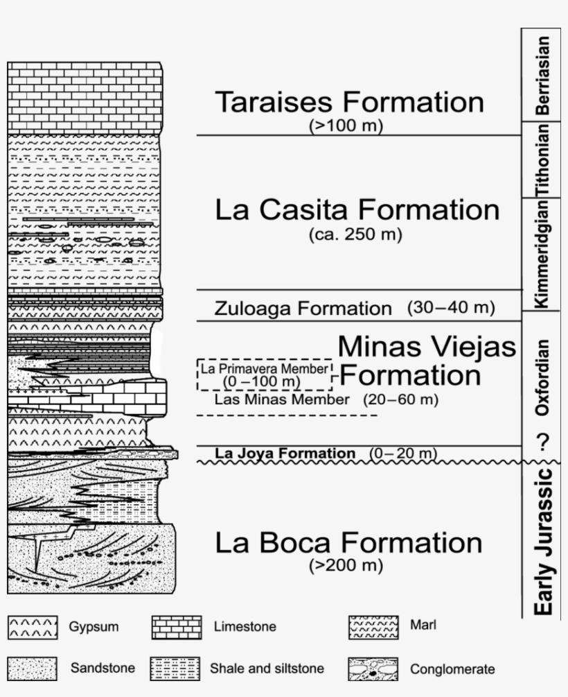 Stratigraphy Of The San Marcos La Primavera Area - Science, transparent png download