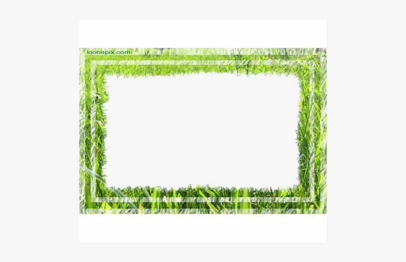 08 May 2011 - Picture Frame, transparent png download
