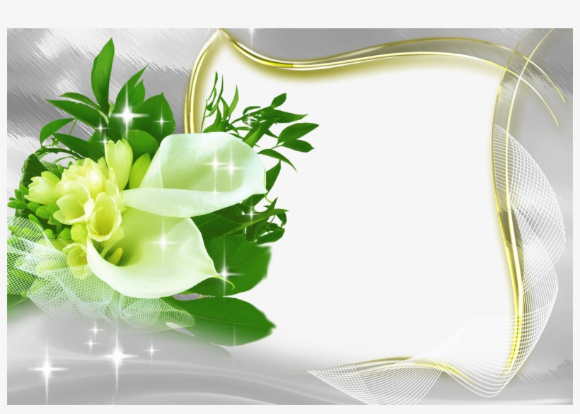 Nilachala Saraswata Sangha, transparent png download
