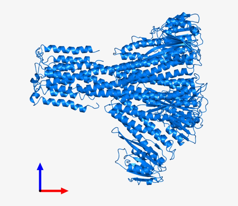 <div Class='caption-body'>pdb Entry 3jcg Contains 5, transparent png download