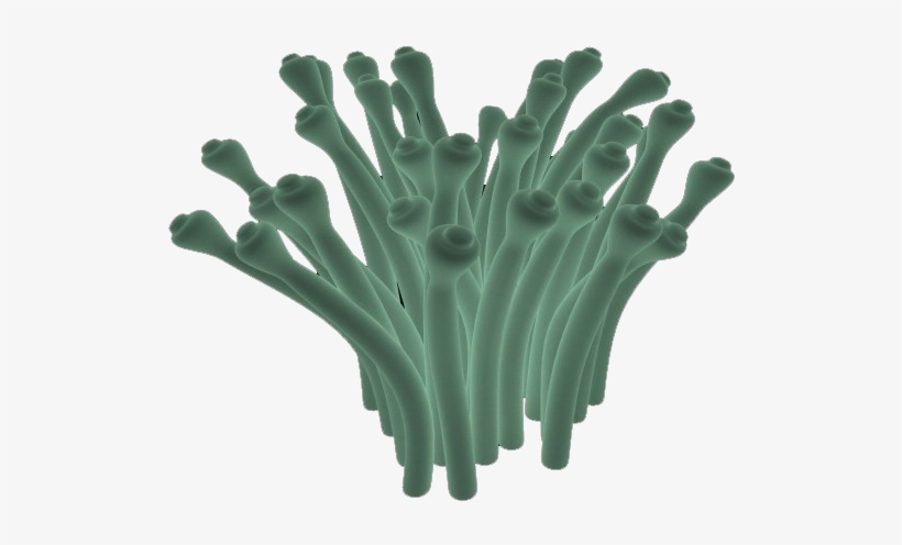 Green By Darkadathea On - Hand, transparent png download