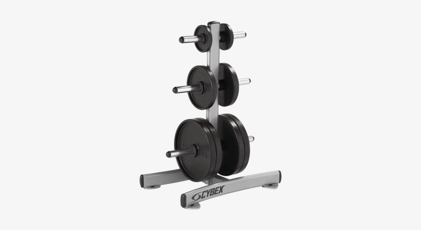Gym Machine Png Background Image - Cybex Free Weights Series Weight Tree, transparent png download