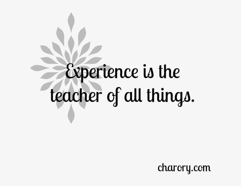 Experience Is The Teacher Of All Things - Colossians 3, transparent png download