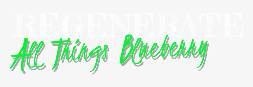 Blueberry, transparent png download