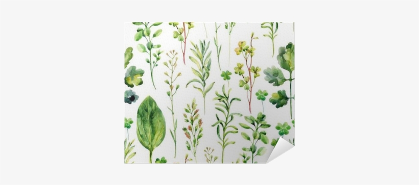 Watercolor Meadow Weeds And Herbs Seamless Pattern - Herbs Background, transparent png download