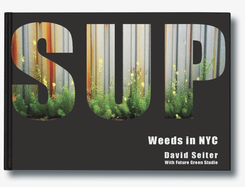 Spontaneous Urban Plants - Spontaneous Urban Plants By David Seiter, transparent png download