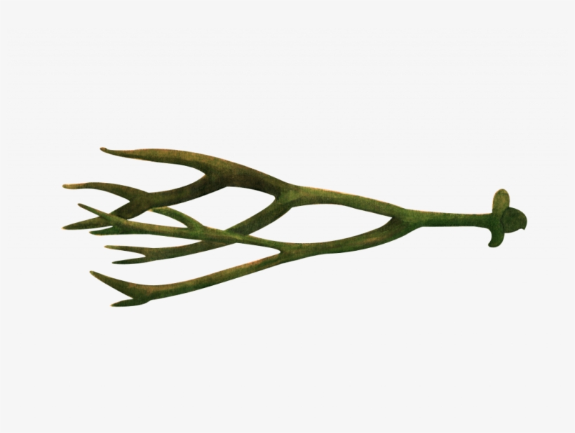 Button Weeds - Common Bean, transparent png download