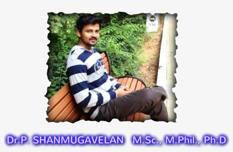 Hanahan High School, transparent png download