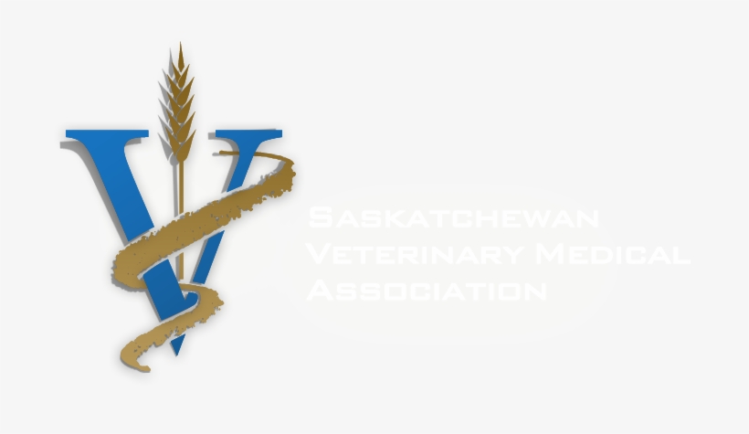 Veterinary Medicine, transparent png download