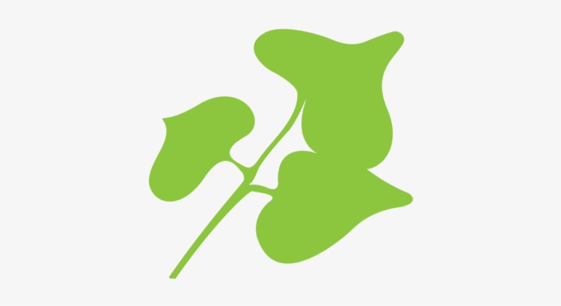 Reviews And Testimonials About Coral Tree Caregiving - Coral Tree In Home Care, transparent png download