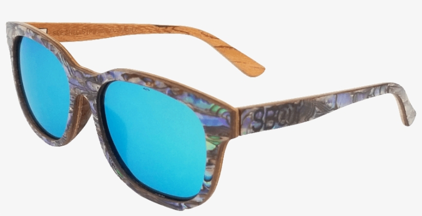 Sea Shell Sunglasses - Gafas De Sol Valencia Cf, transparent png download