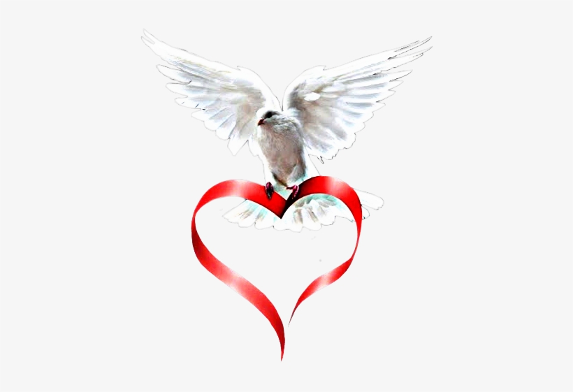 Sticker, transparent png download