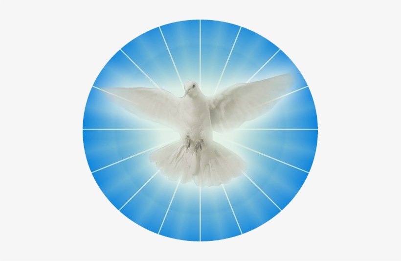 El Espíritu Santo Y La Pasión De Jesús - Srm Color, transparent png download