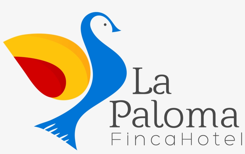Paloma Blanca Png, transparent png download