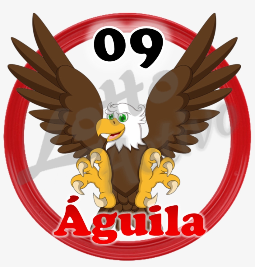 Lottoactivo - Animalitos Lotto Activo 09, transparent png download