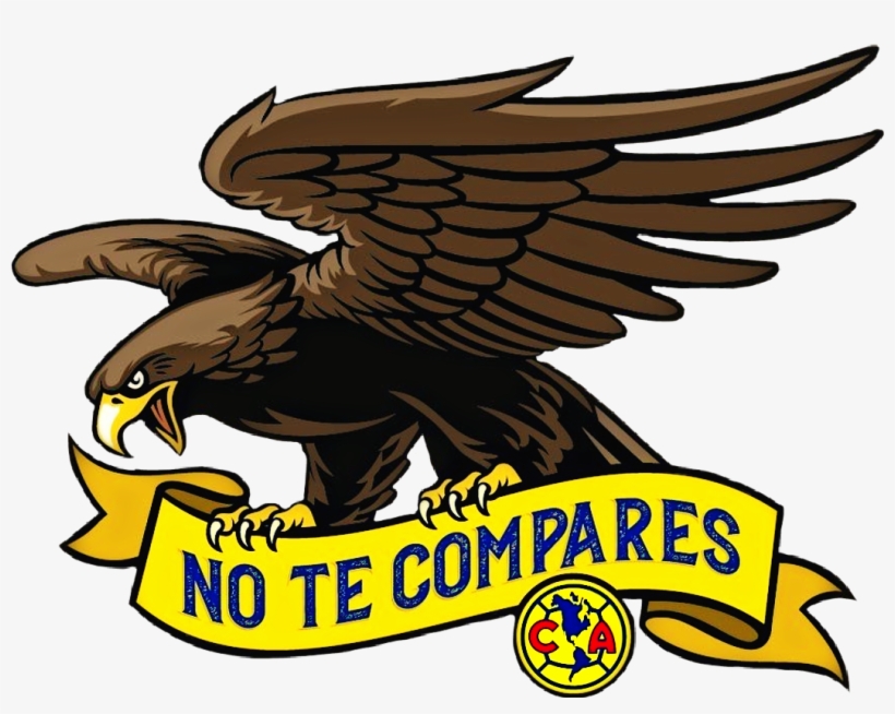 Aguila Sticker, transparent png download