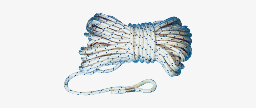 Fish, transparent png download