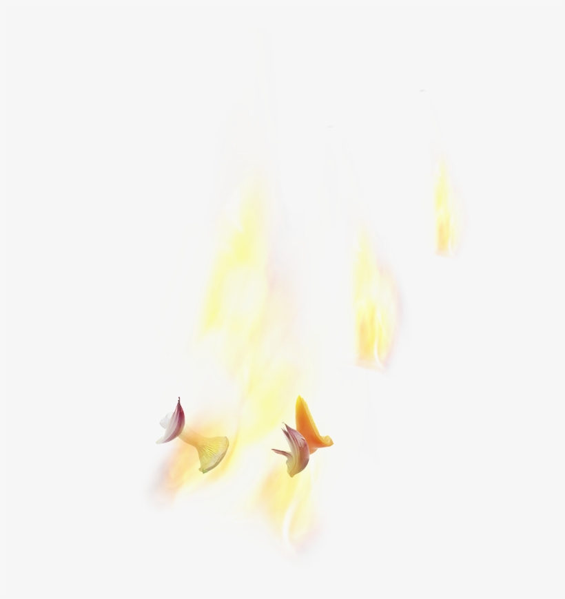 Lohas, transparent png download