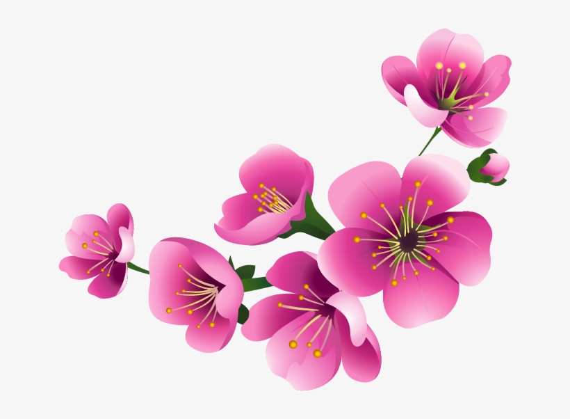 Visit - Flower, transparent png download