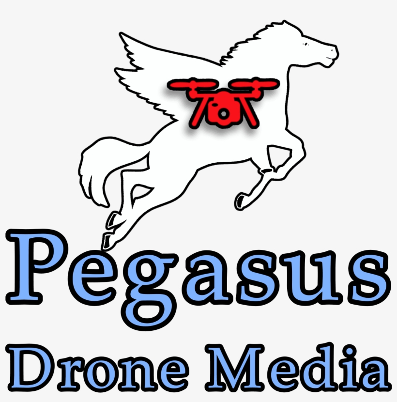Pegasus Drone Media - Logo, transparent png download