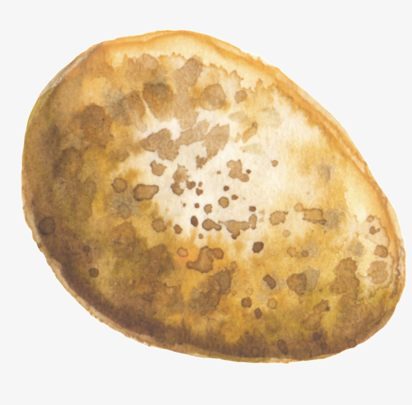 Pan Dulce, transparent png download