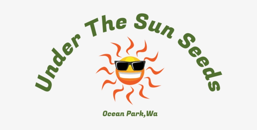 Under The Sun Seeds - Encontro De Casais Com Cristo, transparent png download