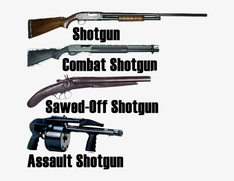 Photo Shotguns - Weapon Database, transparent png download