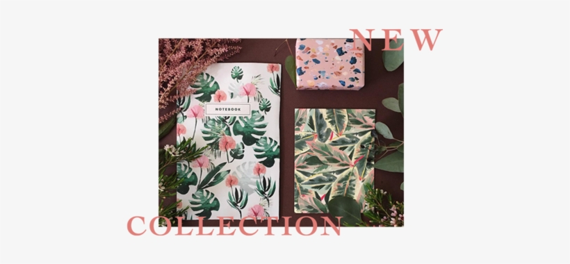 New Products - May - Paper, transparent png download