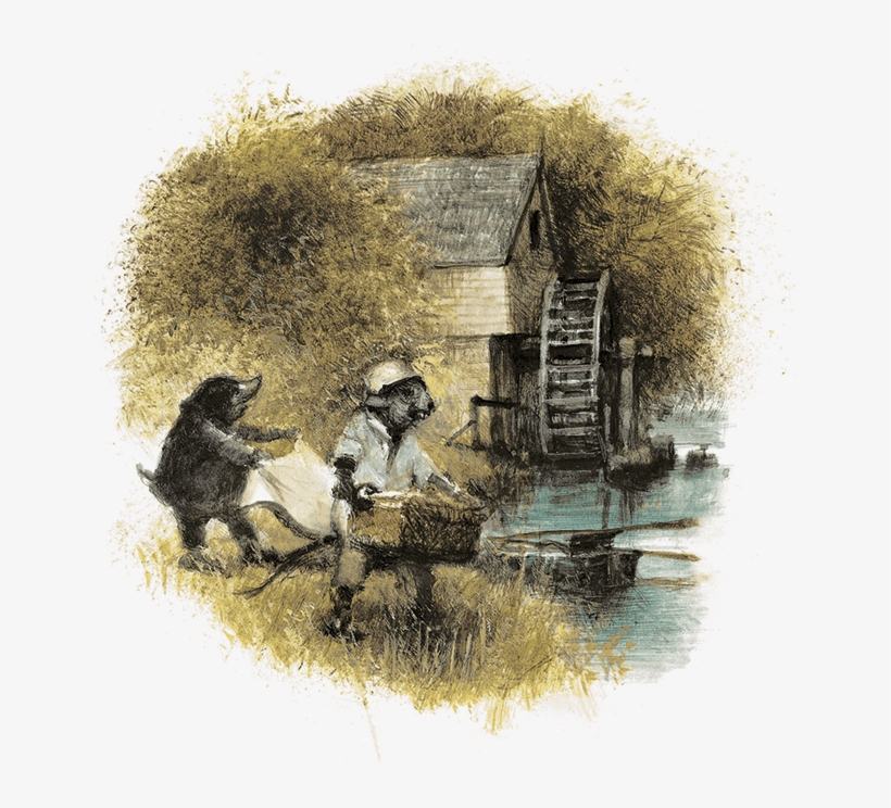 Qab Qaum Ntsuj Plig Daus Ntug Ntoo, Uas Tsis Muaj Dab - Wind In The Willows (picture Hardback) - Abridged Edition, transparent png download