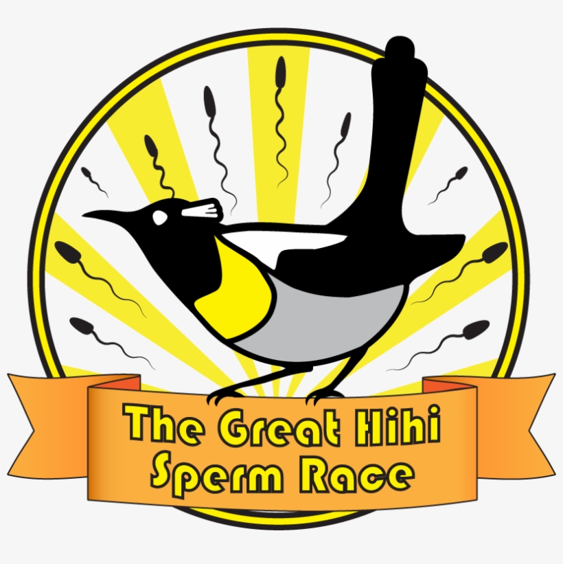 Betting On Bird Sperm In A Race To Help Hihi - University Of Helsinki, transparent png download