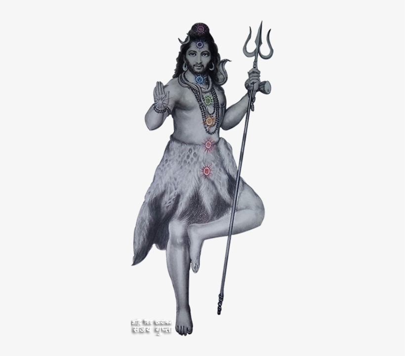 Photograph, transparent png download