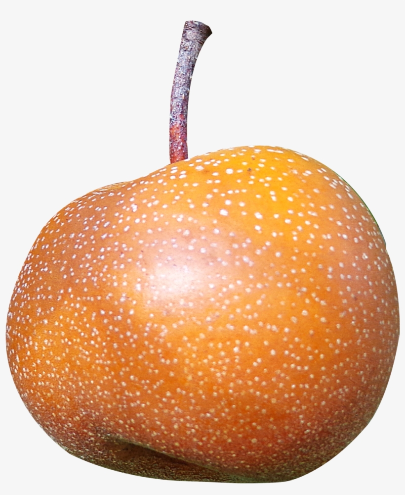 Asian Pear Png Image - Asian Pear Png, transparent png download