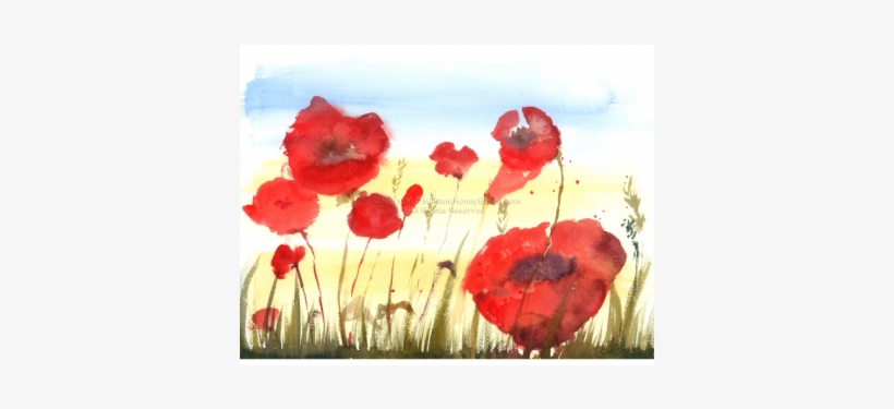 Corn Poppy, transparent png download