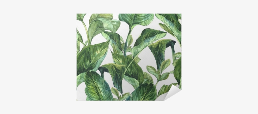 Tropical Leaves Wallpaper Watercolour, transparent png download