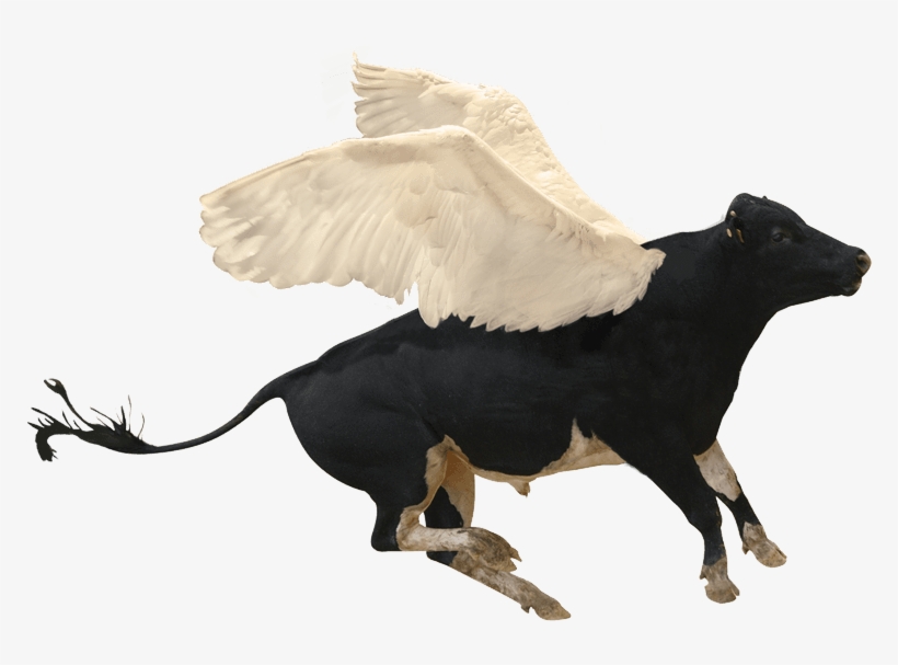 Bull - Borzoi, transparent png download