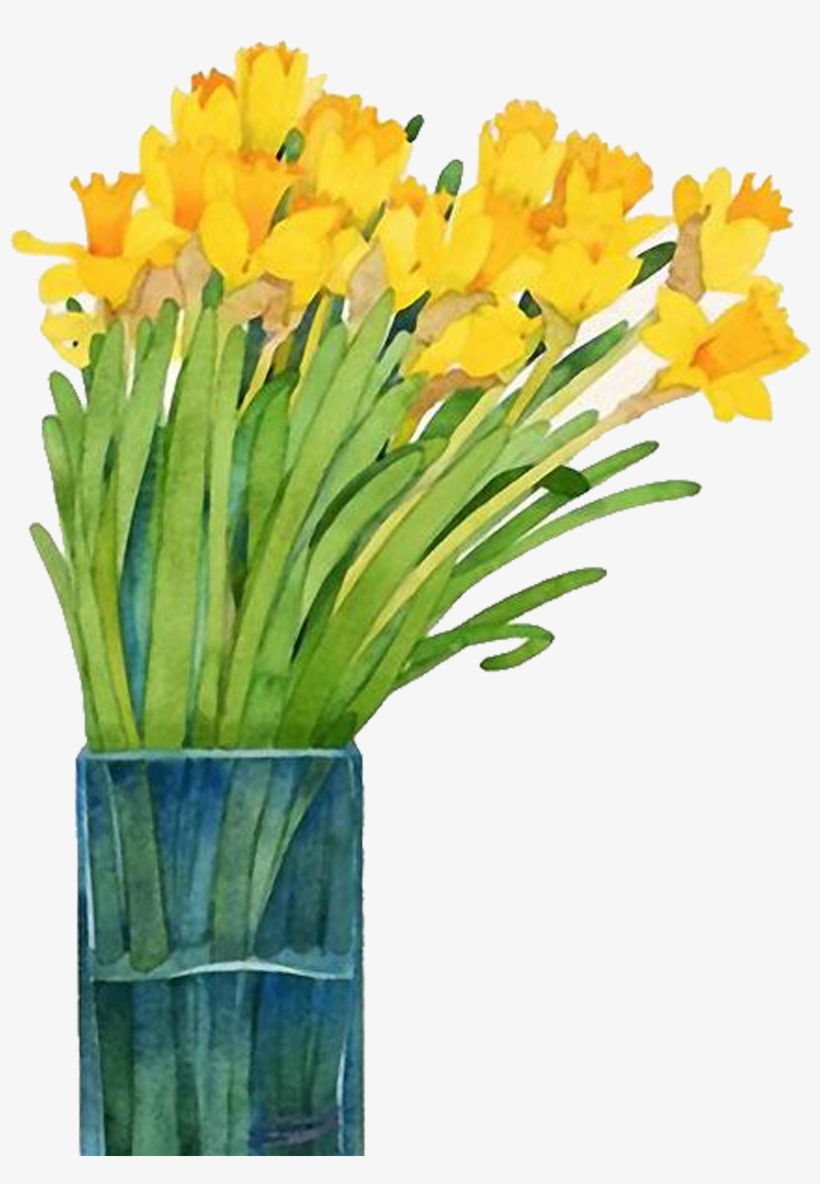 Image Royalty Free Library Daffodils Drawing Watercolor - Narcissus Painting In Watercolor, transparent png download