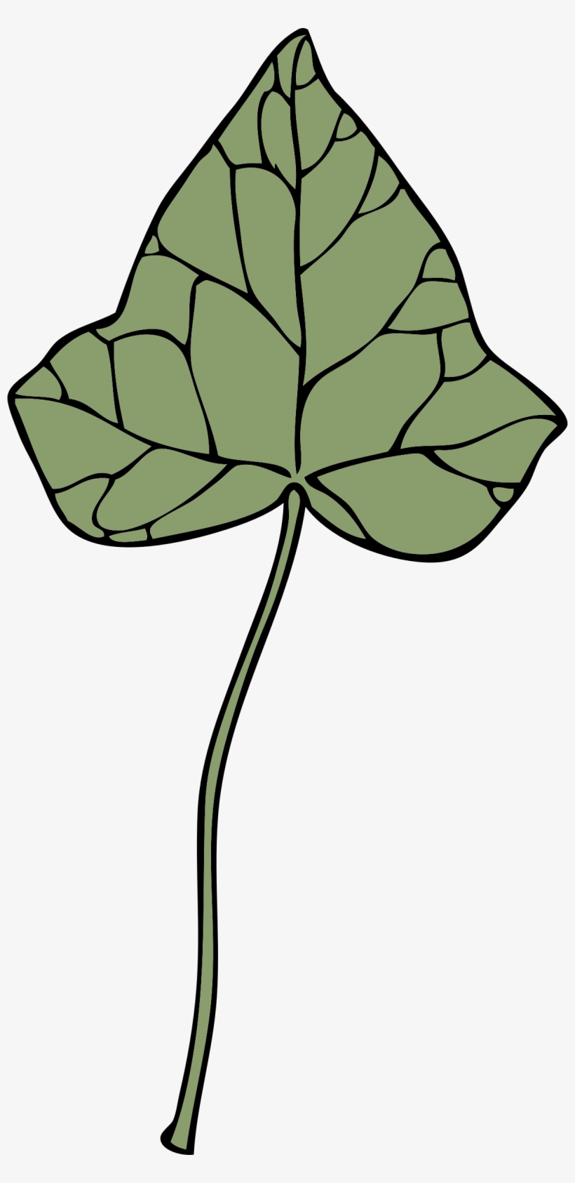 This Free Icons Png Design Of Ivy Leaf 7, transparent png download
