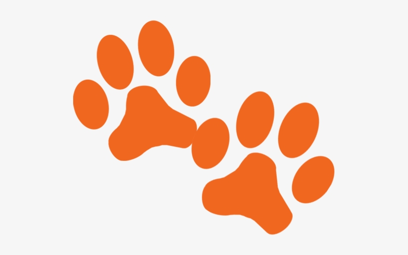 Complete The Online Application - Dog Adoption Png, transparent png download