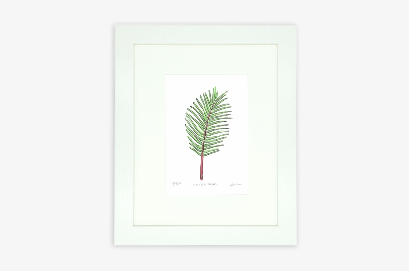Florida Is Known For Its Native Palms But The Lipstick - Illustration, transparent png download