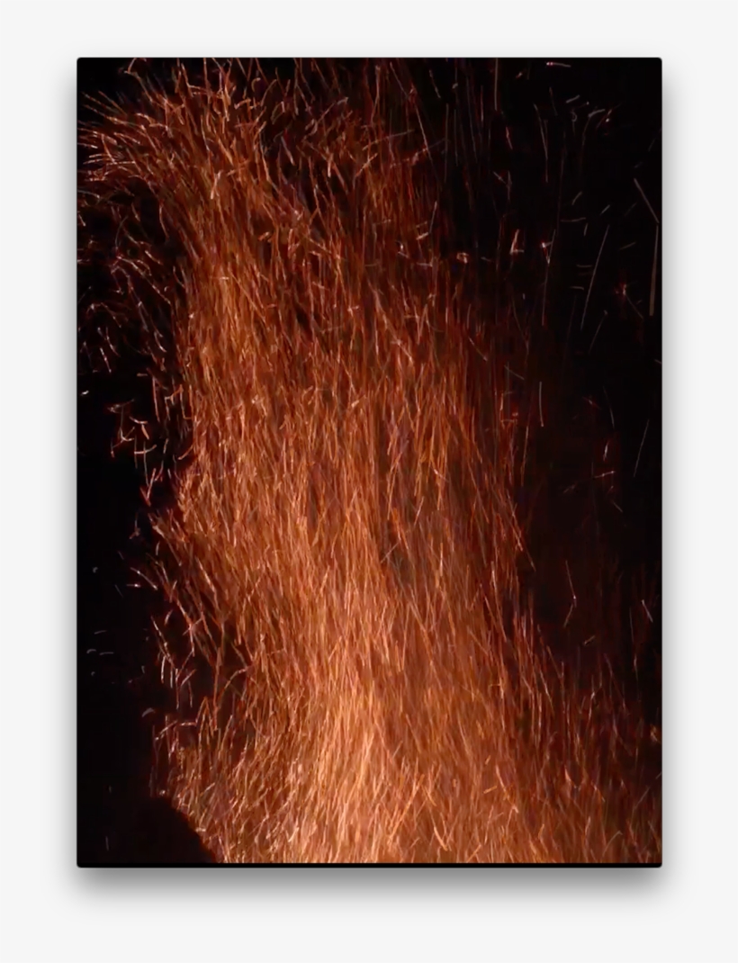 Catch - Grass, transparent png download