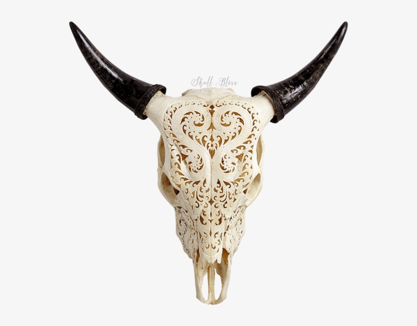 Carved Cow Skull - Cattle, transparent png download