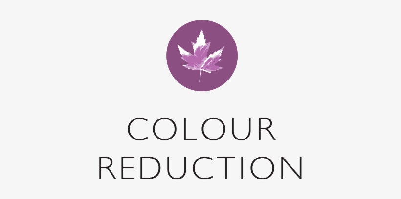 Colour Reduction - Logo - Maple Leaf, transparent png download