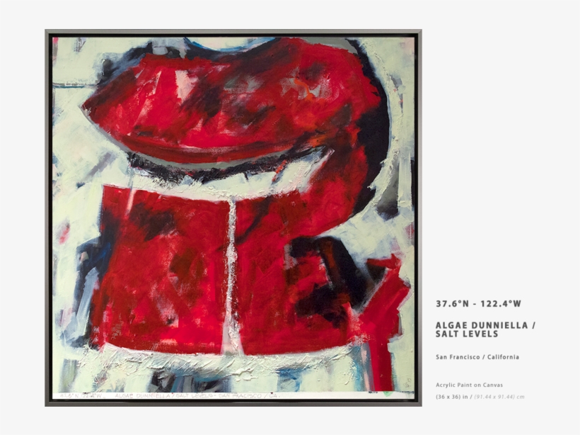 Prev / Next, transparent png download