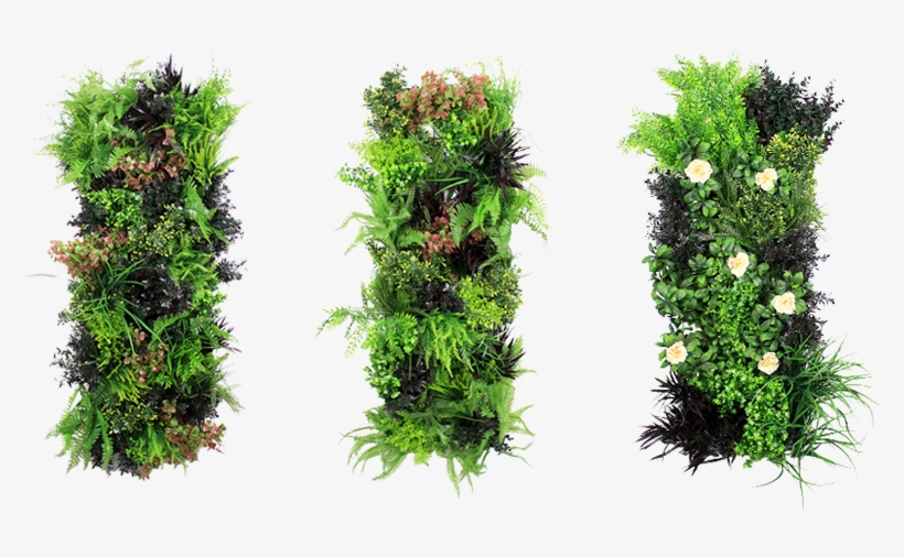 Artificial Vertical Garden - Vertical Garden Png, transparent png download