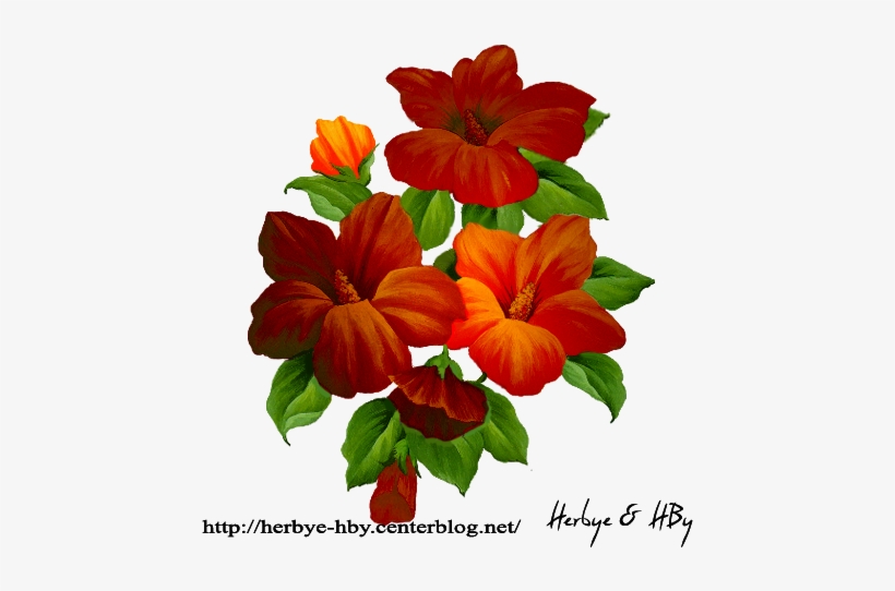 Flowers Png Hibiscus Série - Impatiens, transparent png download