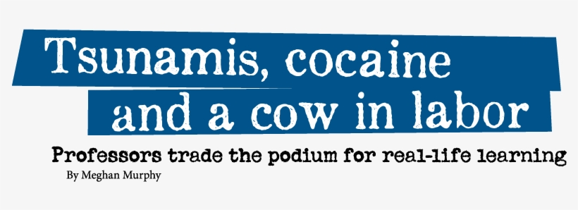 Title - Majorelle Blue, transparent png download