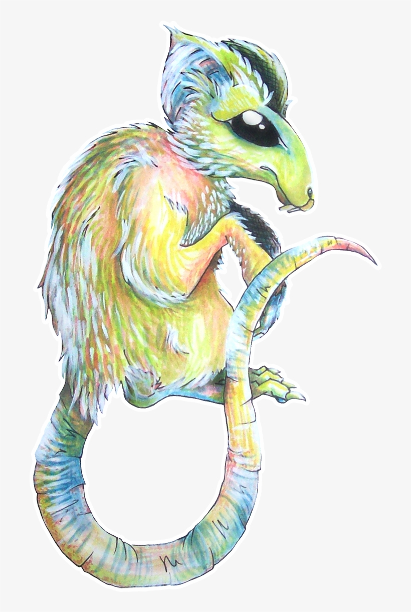 Author Comments - Illustration, transparent png download